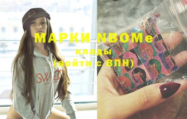 шишки Арсеньев