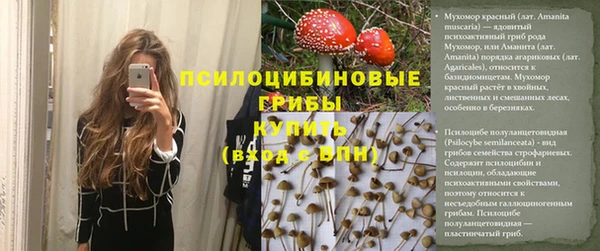 шишки Арсеньев
