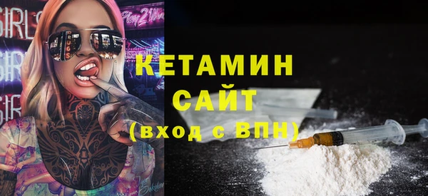 шишки Арсеньев