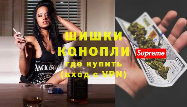 шишки Арсеньев