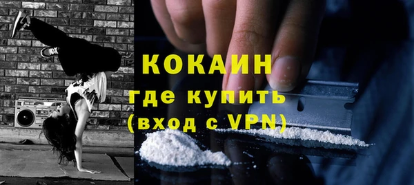 шишки Арсеньев